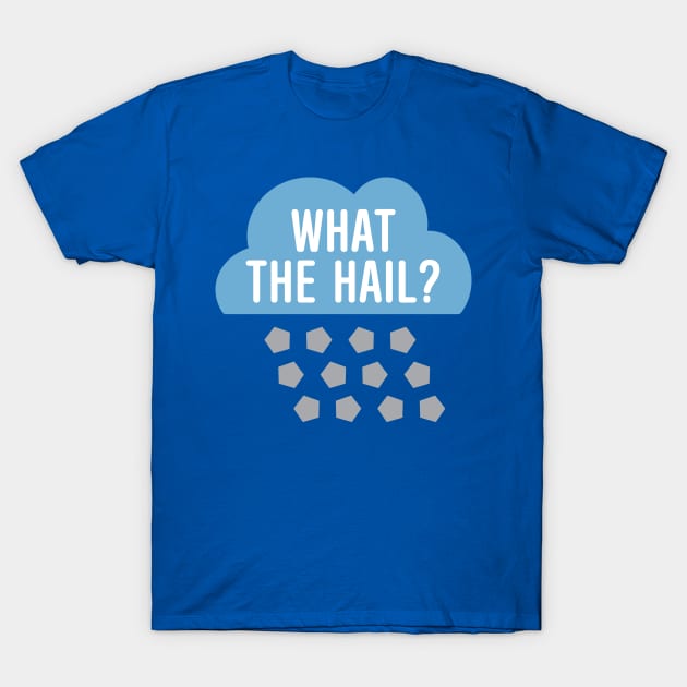 What The Hail? T-Shirt by oddmatter